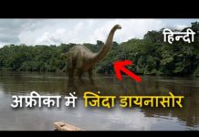 यह वीडियो बताएगी की सही में इस धरती पर आज भी डायनासोर का वजूद हैं