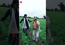 बूढ़े आदमी ने जवान लड़की के साथ करा शानदार डांस, देखें वीडियो