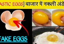 कहीं आप प्लास्टिक से बने अंडे तो नहीं खा रहें? इस तरह करे उसकी पहचान | IDENTIFY FAKE EGG
