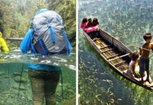 यहाँ पानी कांच से भी ज्यादा साफ़ हैं | 5 Most Crystal Clear Waters On Earth