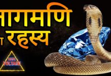 जाने नागमणि के पीछे का रहस्य || Cobra Stone