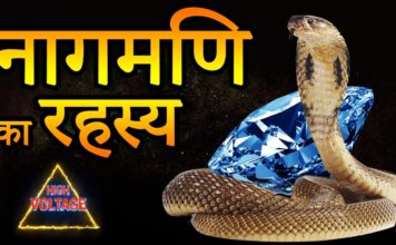 जाने नागमणि के पीछे का रहस्य || Cobra Stone
