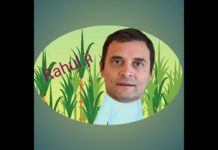 सोशल मीडिया पर वायरल हुई एनिमेटेड राहुल गाँधी और मोदी की फाइट