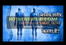 जाने मानव शरीर कैसे काम करता हैं | How Human Body Work