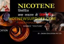 जाने निकोटिन( NICOTINE ) क्या होता हैं? क्या यह आपके लिए फायदेमंद हैं?