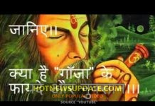 गांजा क्या होता हैं? | किससे बनता हैं और जाने इसके हानिकारक नुकसान