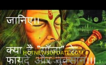 गांजा क्या होता हैं? | किससे बनता हैं और जाने इसके हानिकारक नुकसान