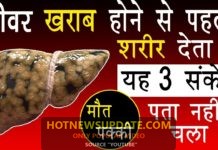 Liver( यकृत ) क्या है? | जाने किस तरह एलकोहॉल इसे प्रभावित करता हैं| Liver In Hindi