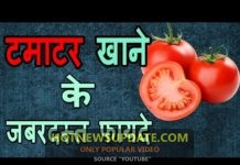टमाटर खाने के फायदे | प्रेगनेंसी में टमाटर खाने के फायदे | Healthy Diet In Hindi