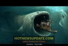 दुनिया की सबसे बड़ी मछली | Biggest Fish / Animal In The World