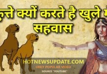 कुत्ते क्यों करते हैं खुले में सहवास | वजह जान कर हैरान हो जाएंगे आप