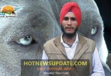 कुत्तो को साथ में रखने से आपको हो सकती हैं यह बीमारियां