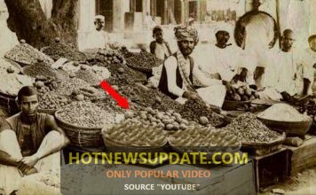 भारत को सोने की चिड़िया क्यों कहा जाता हैं?
