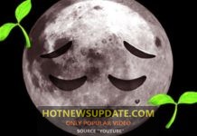 चाँद पर उगा पहला पेड़ क्यों मर गया? | first plant to grow on the moon