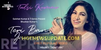 Love Song Teri Ban Jaungi (Reprise Version) 2019 । Tulsi Kumar ।