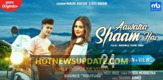 Aawara Shaam Hai । Meet Bros New Romantic Song ।