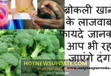 ब्रोकली खाने के अनगिनत फायदे जानकर आप भी रह जाएंगे दंग ।
