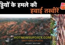 गुजरात में टिड्डियों के हमले की हवाई तस्वीरें।आप भी देखे।