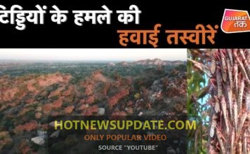 गुजरात में टिड्डियों के हमले की हवाई तस्वीरें।आप भी देखे।