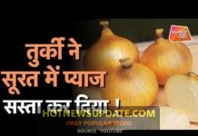 क्या तुर्की के प्याज रोकेंगे महंगाई के आंसू ? देखिये खास रिपोर्ट।