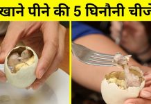 खाने पीने की 8 ऐसी घिनौनी चीजे जिनकी पूरी दुनिआ है कायल।