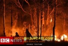 ऑस्ट्रेलिया में आग में बारिश होने से मिली कुछ राहत भारी बारिश का इंतज़ार।