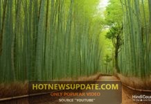 8 घटनाये जिन्होंने वैज्ञानिको के भी होश उड़ा दिए।