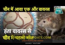 सावधान दुनिया, कोरोना के बाद चीन में हंता वायरस की दस्तक।