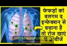 फेफड़ों को संक्रमण से बचाना है तो रोज खाएं ये 2 चीजें।