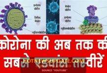 देखे कोरोनावायरस का सबसे एडवांस 3D मॉडल।