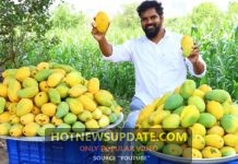 Easy Home Made Mango Ice Cream Recipe For Summer।