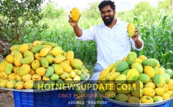 Easy Home Made Mango Ice Cream Recipe For Summer।
