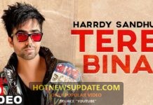 Tere Bina Harrdy Sandhu Latest Punjabi Songs 2020।
