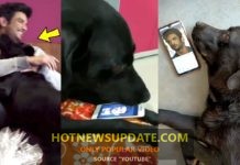 Sushant Singh Rajput Dog Fudge MISSING Him।