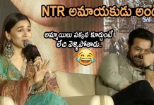 जूनियर एनटीआर के साथ तेलुगु फिल्म में काम करेगी आलिया भट्ट